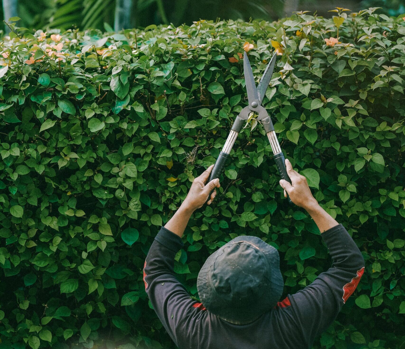 Adverteer voor jouw tuinbedrijf