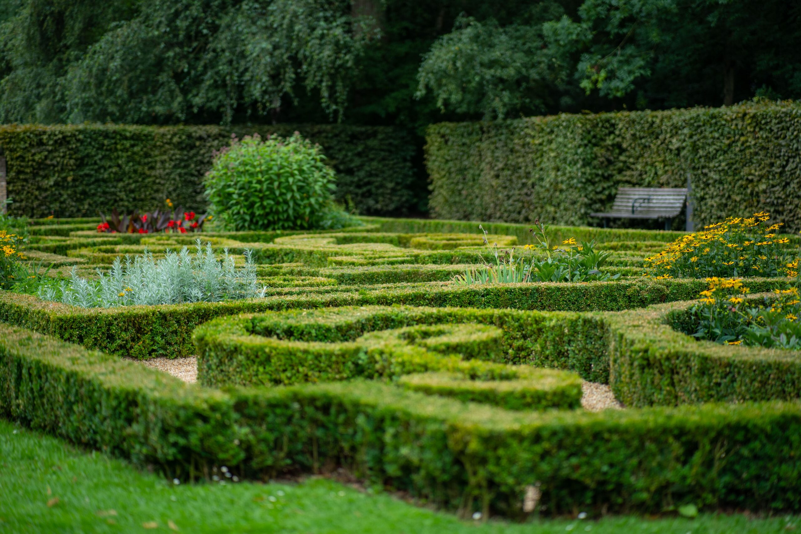 Mooie tuin