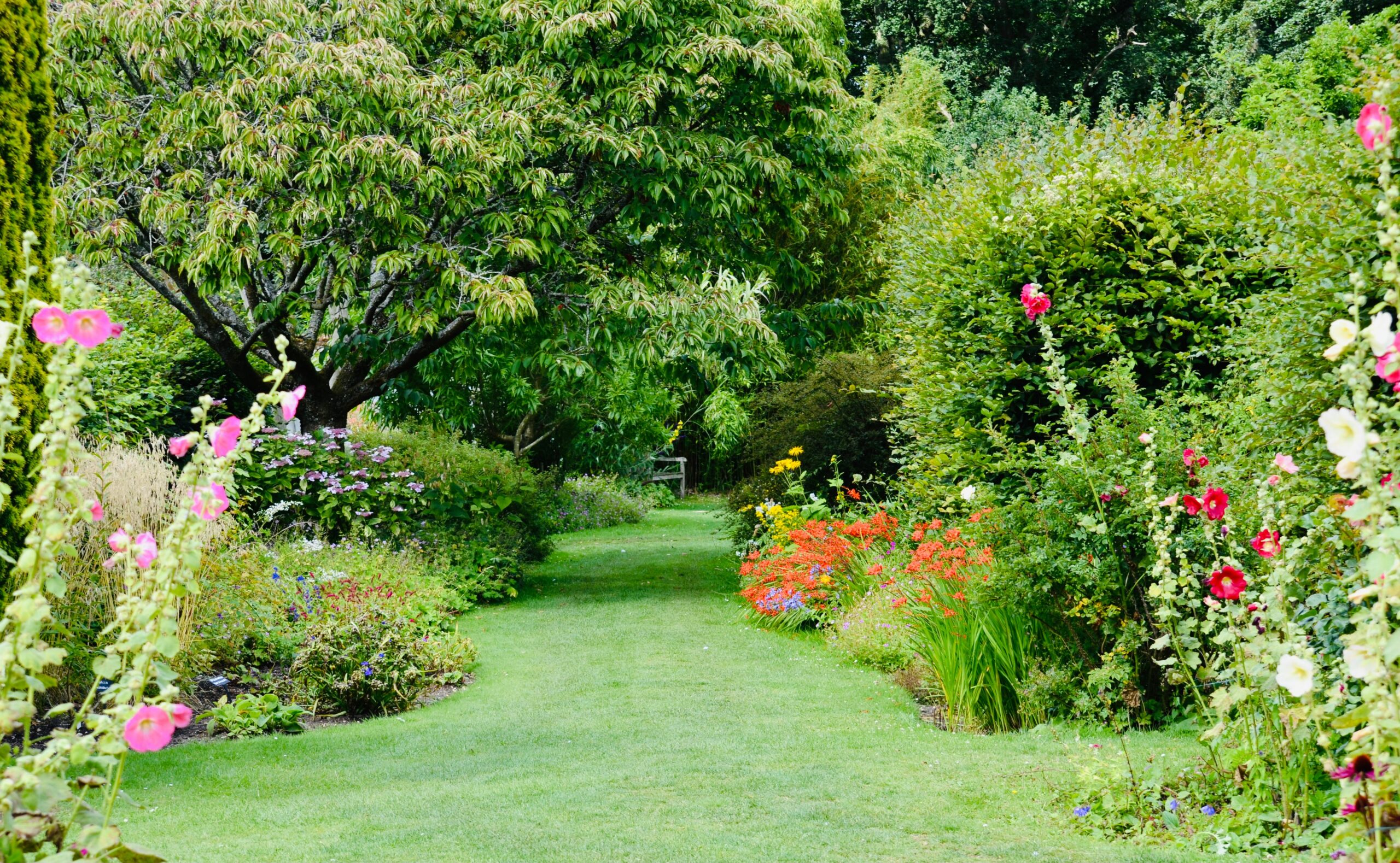Tuin voor portfolio