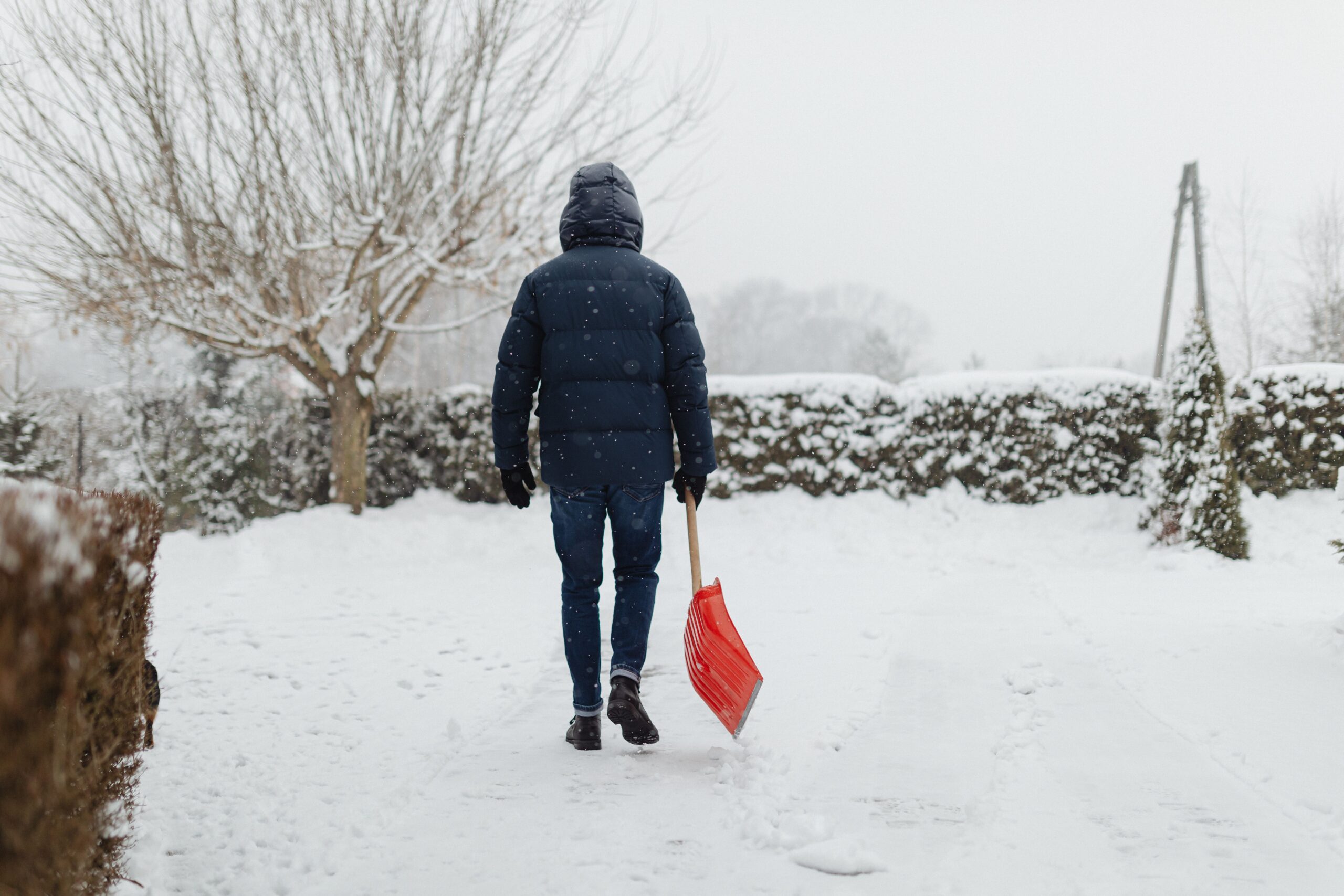 Tuinman winter