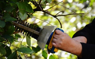 Succesvol een tuinonderhoudscontract afsluiten