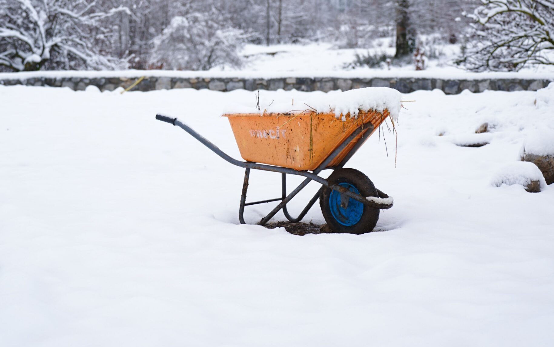Tuinwerken winter